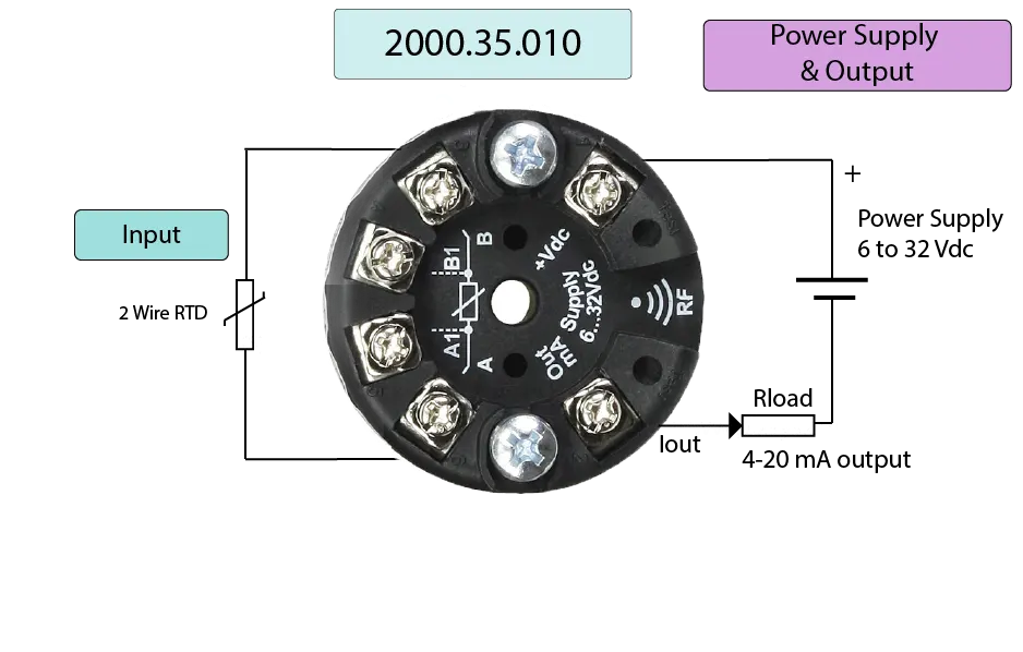 Head mount 2 Wire RTD data logger wiring diagram